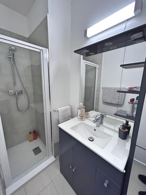 Jardin Royal - Studio - Calme ตูลูส ภายนอก รูปภาพ
